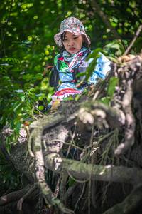 BIB: 
                            <button type="button" onclick="openModal(7070449)" class="btn btn-primary btn-sm float-right btn-popup" data-toggle="modal" data-target=".modal-high-quality">
                        <i class="fas fa-shopping-cart"></i> Add to Cart
                    </button>
                                            <button type="button" onclick="isThisMe(7070449, true)" class="btn btn-success btn-sm float-right btn-popup btn-isme hidden" data-toggle="tooltip" data-placement="bottom" title="นี่คือรูปของคุณใช่ไหม คลิกที่นี่เพื่อเอาเข้าอัลบั้ม">
                        <i class="fas fa-plus"></i> Add to album
                    </button>
                    <button type="button" onclick="isThisMe(7070449, false)" class="btn btn-warning btn-sm float-right btn-popup btn-isnotme hidden">
                        <i class="fas fa-ban"></i> Remove from album
                    </button>